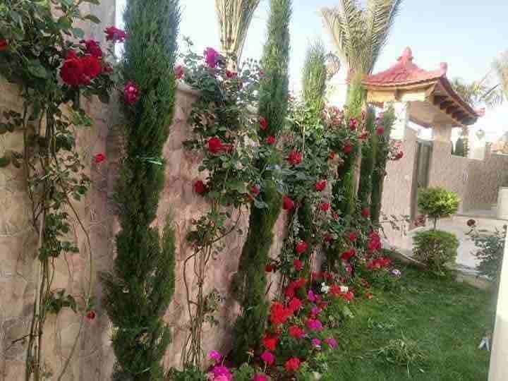 تنسيق حدائق إنشاء مزارع إنشاء ملاعب
شلالات نوافير فير بليس باربيكو
زراعه أشجار مثمرة وزينه نجيل ونخيل
هاتف : ٠٧٩٦٢٠٢٢٤٣