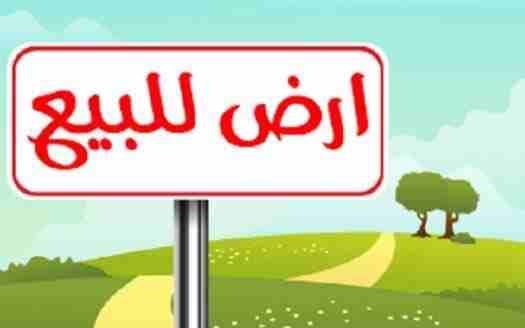 قطعة أرض للبيع مساحة310م قوشان مستقل على شارعين جميع الخدمات موجوده
الموقع :ياجوز _حي جعفر_خلف عمارات الأيتام