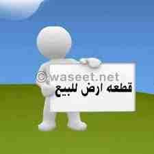 قطعة ارض للبيع تبعد على البحر حوالي 350 متر مساحتها 1900 متر مرببع بدائرة عشعاشة بلدبة بحارة ولاية مستغانم منطقة سياحية