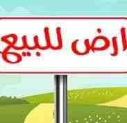 قطعة ارض للبيع تبعد على البحر حوالي 350 متر مساحتها 1900 متر مرببع بدائرة عشعاشة بلدبة بحارة ولاية مستغانم منطقة سياحية